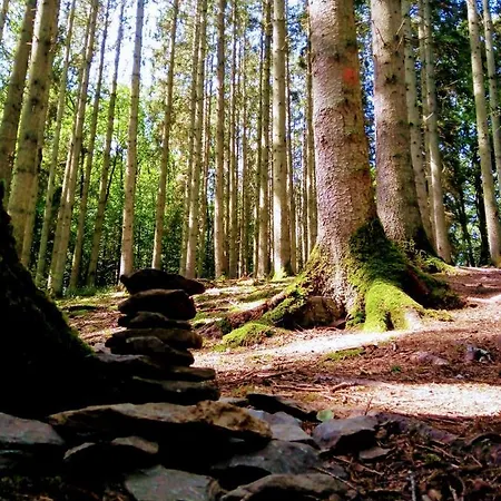 Διαμέρισμα En Ardenne , Welcome *