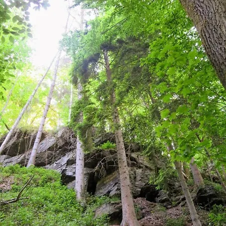 En Ardenne , Welcome Διαμέρισμα La-Roche-en-Ardenne